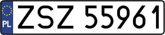 ZSZ55961