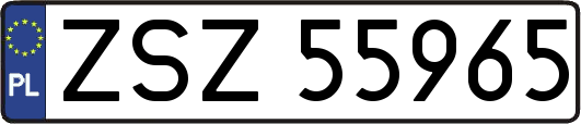 ZSZ55965