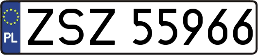 ZSZ55966