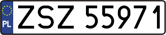 ZSZ55971