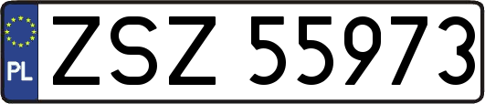 ZSZ55973