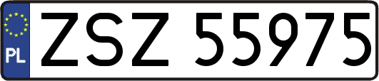 ZSZ55975