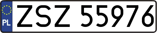 ZSZ55976