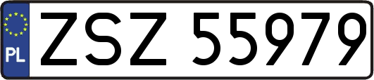 ZSZ55979