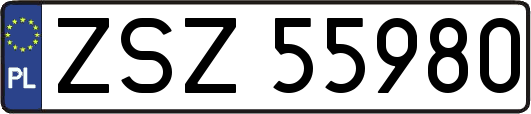ZSZ55980