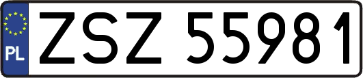 ZSZ55981