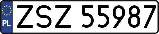 ZSZ55987