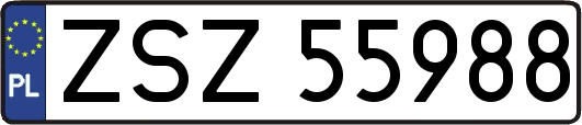 ZSZ55988