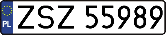 ZSZ55989