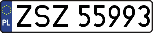 ZSZ55993