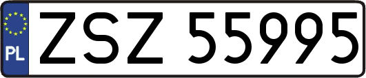 ZSZ55995