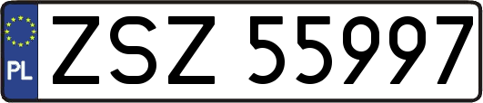 ZSZ55997