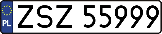 ZSZ55999