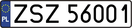 ZSZ56001
