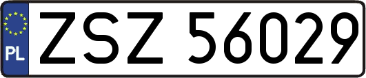 ZSZ56029