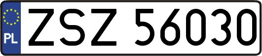 ZSZ56030