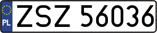 ZSZ56036