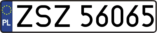ZSZ56065