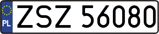 ZSZ56080