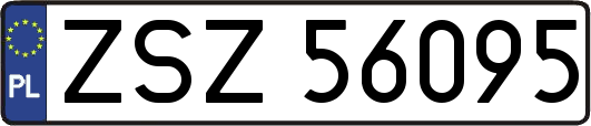 ZSZ56095