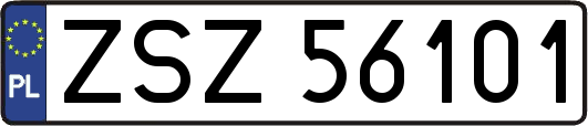 ZSZ56101