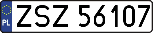 ZSZ56107