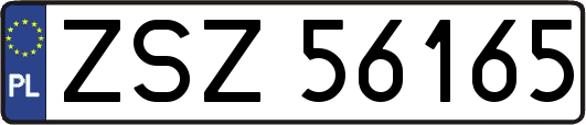 ZSZ56165