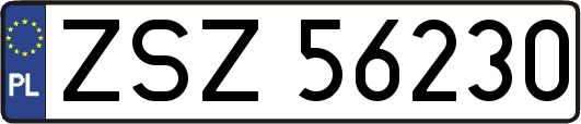 ZSZ56230