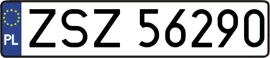 ZSZ56290