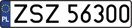 ZSZ56300
