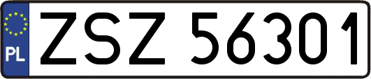 ZSZ56301