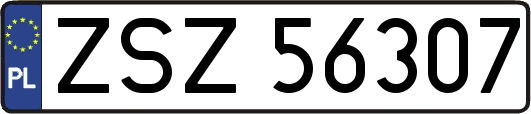 ZSZ56307