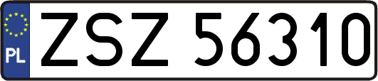 ZSZ56310