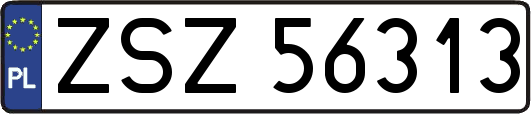 ZSZ56313