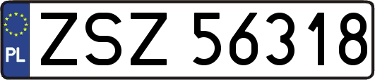 ZSZ56318