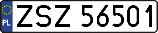 ZSZ56501