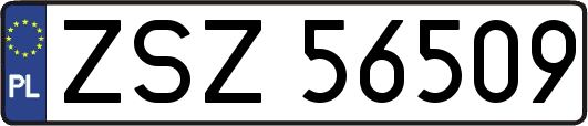 ZSZ56509