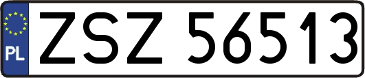 ZSZ56513
