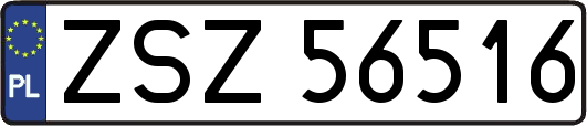ZSZ56516