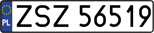 ZSZ56519