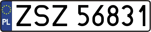 ZSZ56831