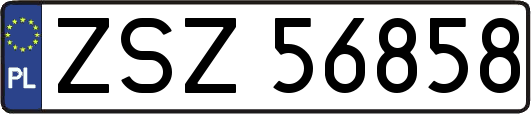 ZSZ56858