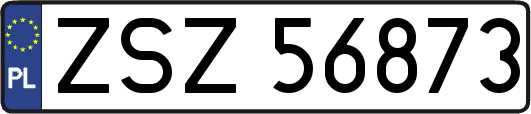 ZSZ56873