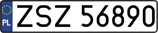 ZSZ56890