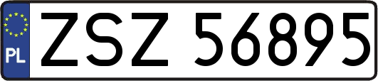 ZSZ56895