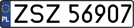 ZSZ56907