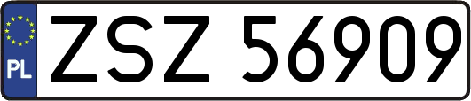 ZSZ56909