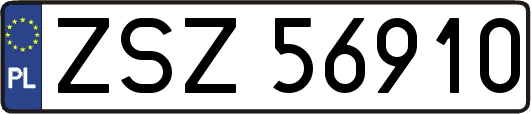 ZSZ56910