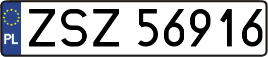 ZSZ56916
