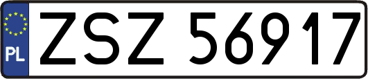 ZSZ56917